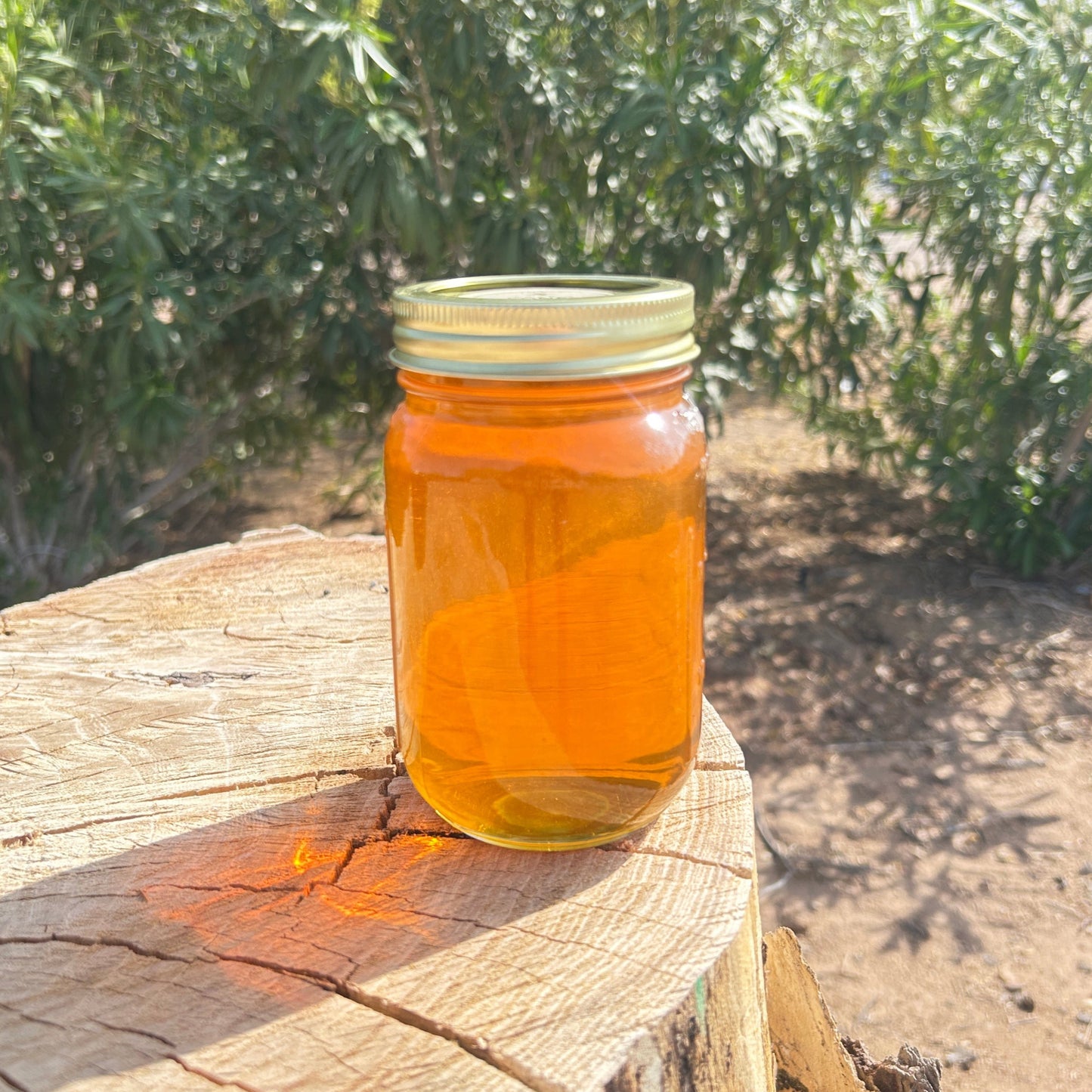 Raw Orange Blossom Honey