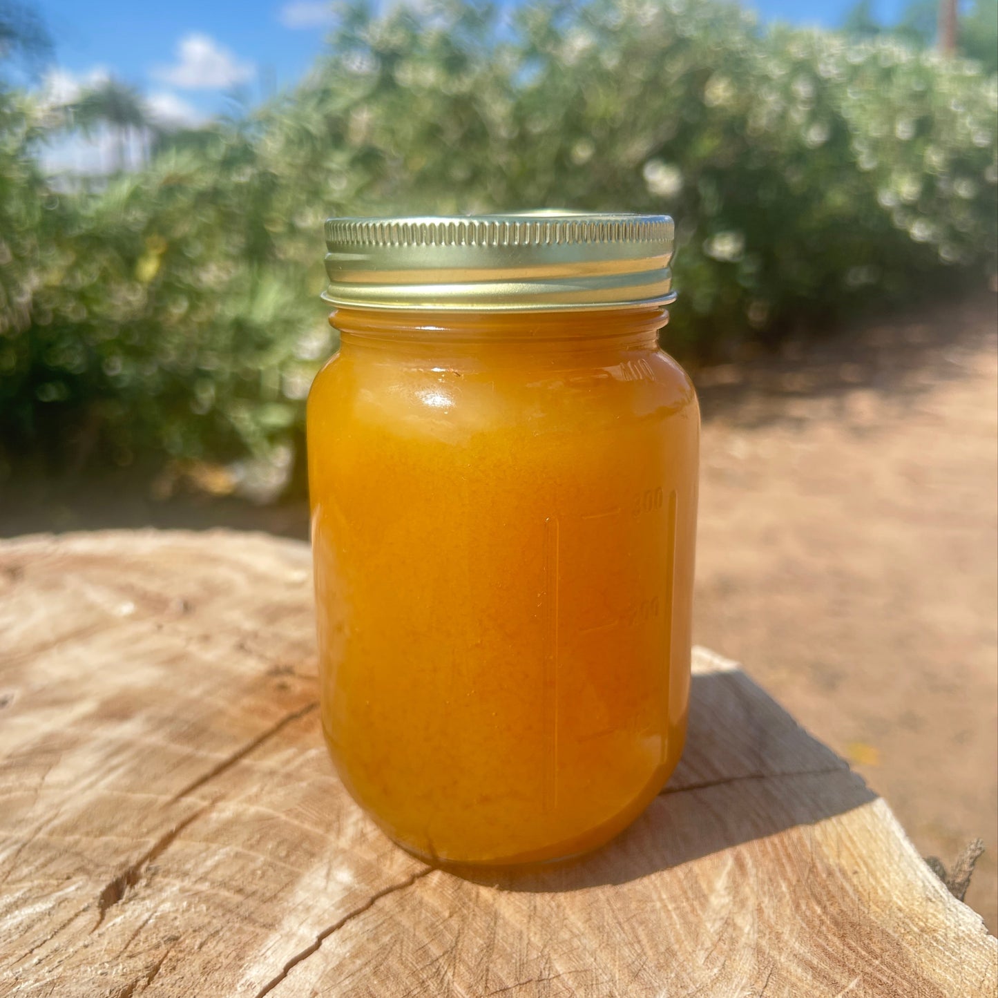 Raw Aged Honey