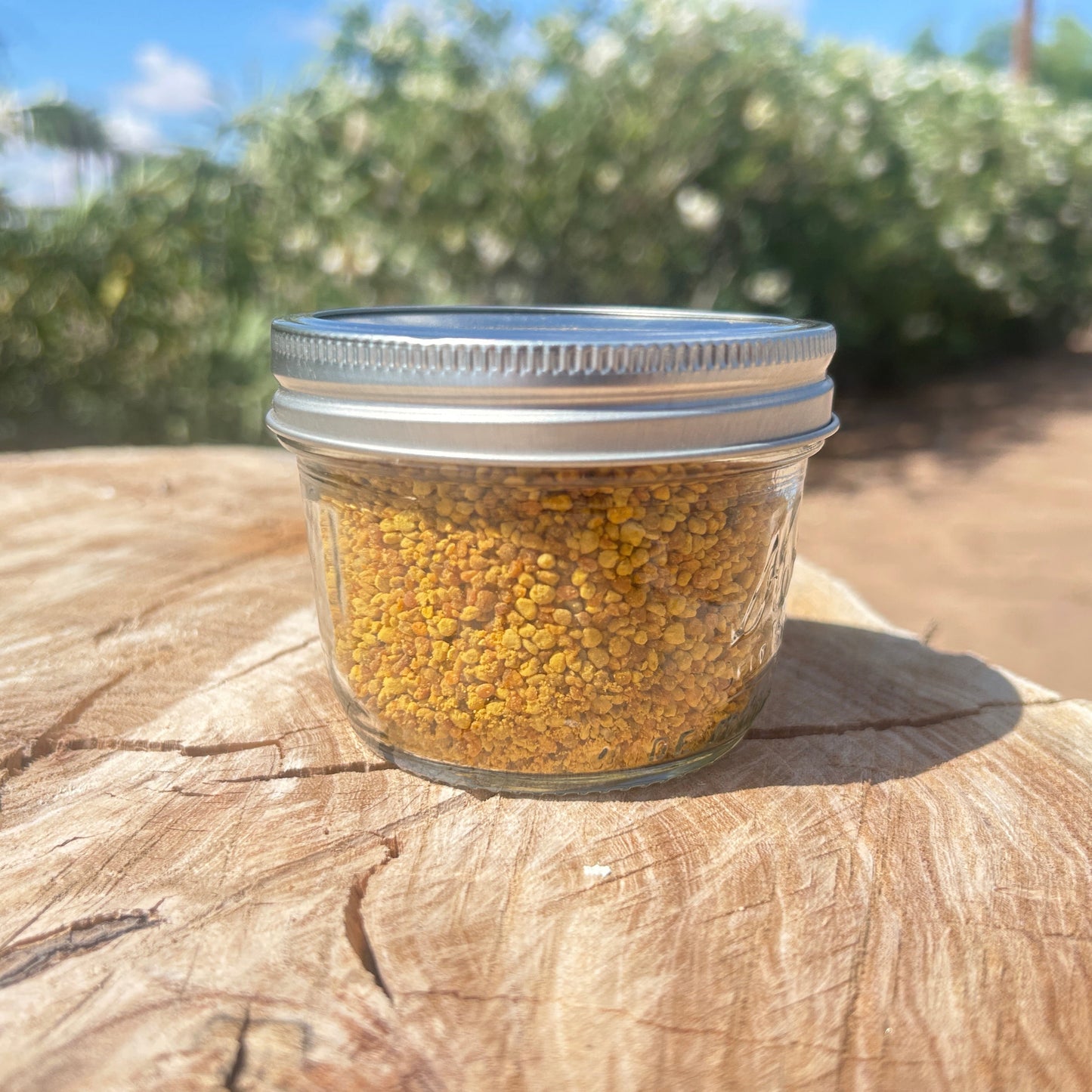 Bee Pollen