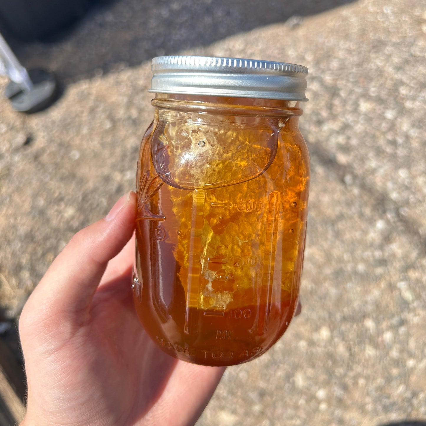 Fresh Honeycomb