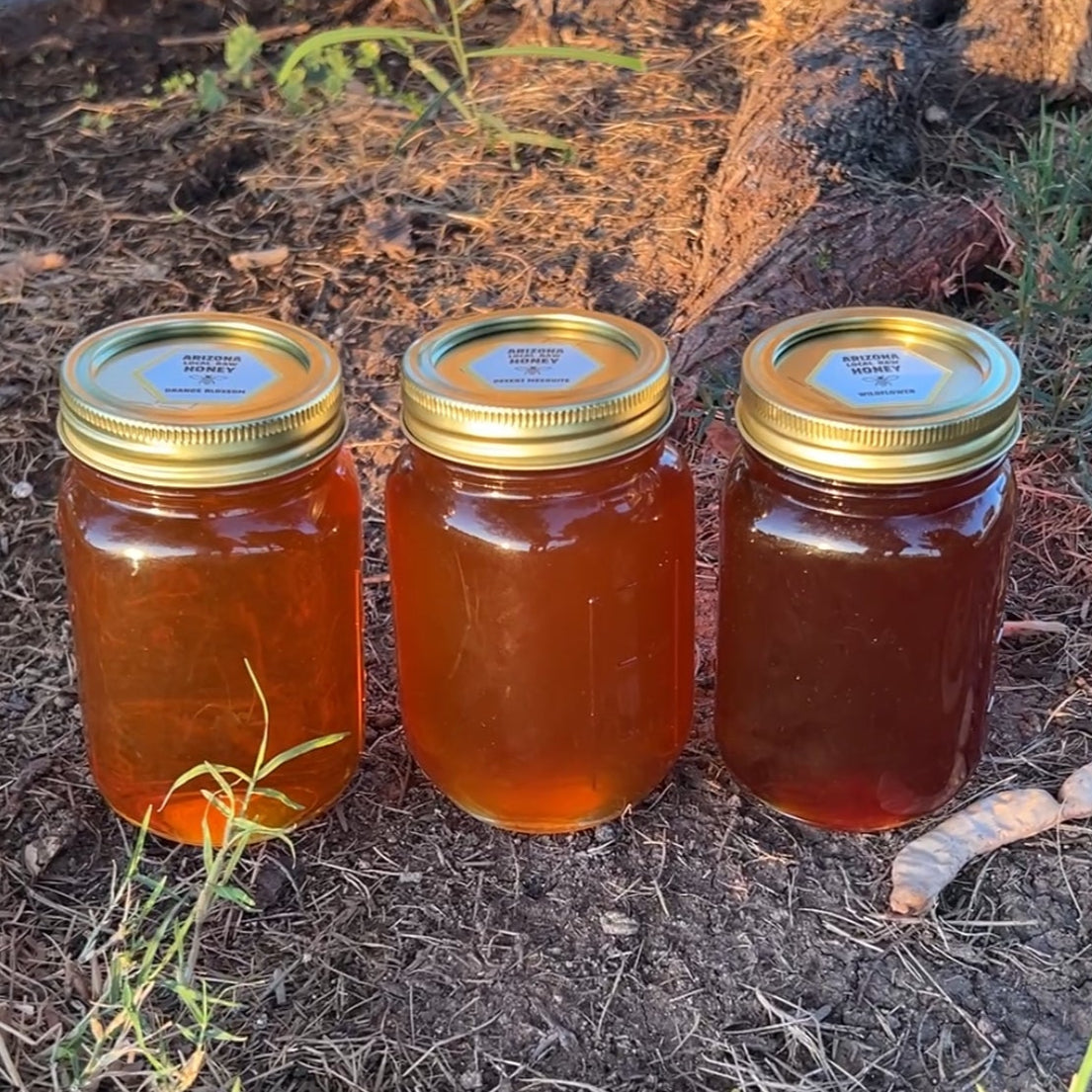 Raw Honey 3 Jar Bundle