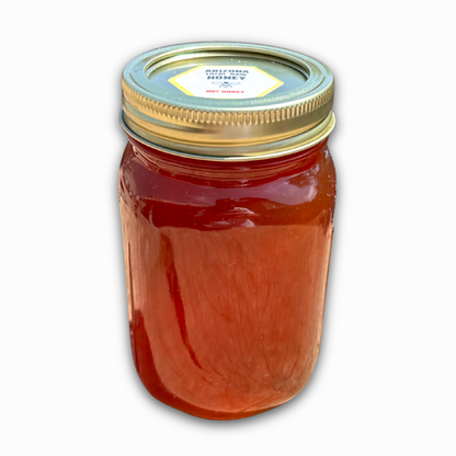 Raw Organic Hot Honey