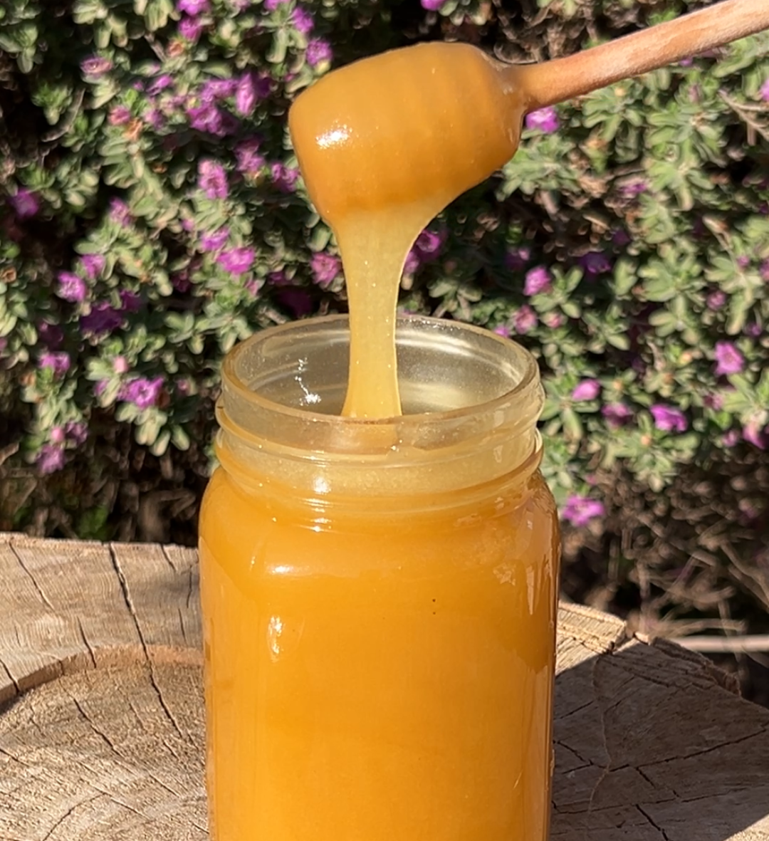 Raw Aged Honey