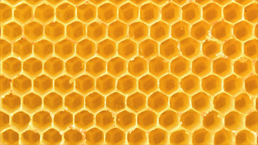 arizonalocalrawhoney – Arizona Local Raw Honey