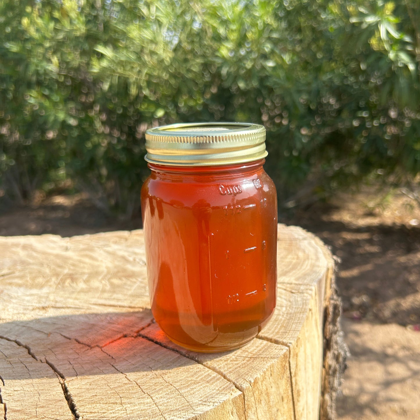 Raw Desert Mesquite Honey
