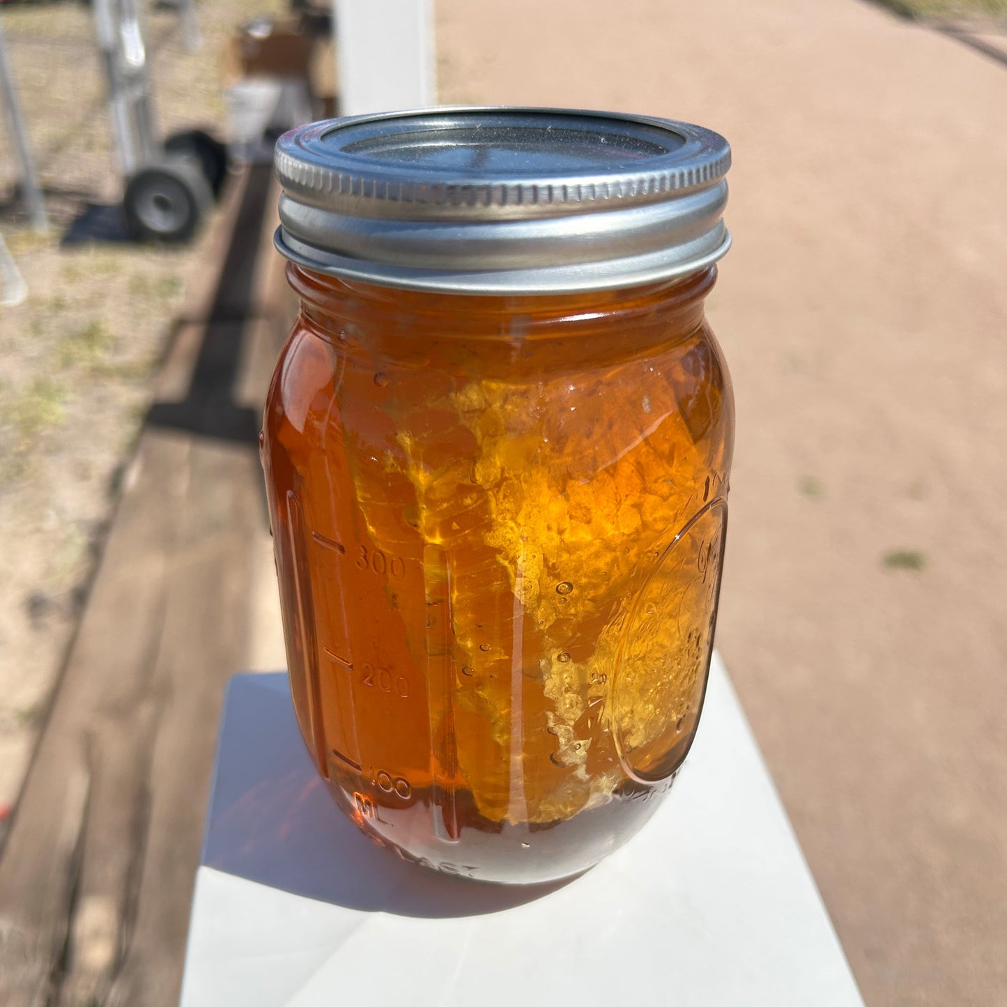 Fresh Honeycomb