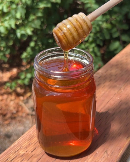 Raw Orange Blossom Honey